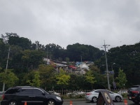 부산테마여행사