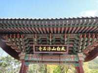 부산테마여행사