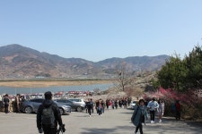 부산테마여행사