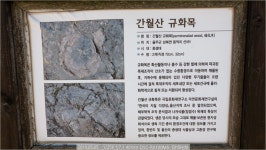 여행기 - 알프스의 요정(2)