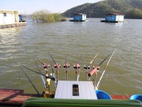 4월 26일 임진년 월척 1호,,2호~~ - 송도좌대 조행기 - 송전지 송도좌대 (송전지낚시터) 4월 26일 임진년 월척 1호,,2호~~