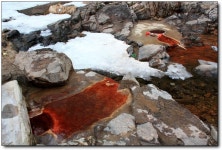 [청송] 철없는 사람이 먹으면 철드는 물 <달기 약수>