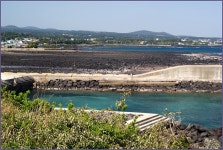 그 아름다움, 5월의 제주 올레길 - 5코스 3편