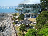 오늘의유머 - 동백섬과 해운대 동백섬과 해운대 