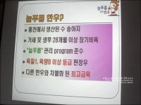 홍천맛집 늘푸름홍천한우프라자