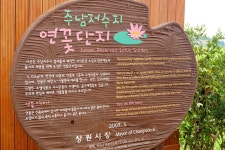 호미숙 자전거여행[경남창원여행-주남저수지 연꽃단지]