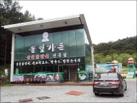 홍천 비발디 맛집 솔잎가든의 숯불닭갈비