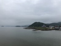 부산테마여행사