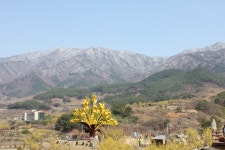 부산테마여행사