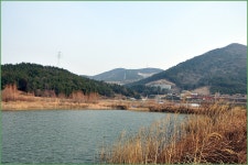 (옥산2지)바람따라 구름따라 710회 :: 토종붕어를 사랑하는 사람들