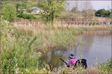 ( 능암늪 )바람따라 구름따라 816회 :: 토종붕어를 사랑하는 사람들