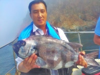 고흥권 돌돔(57cm),참돔들..