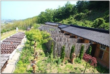 않는 보리심으로 보살행을 솔선수범하겠습니다. [1차 유발수행상좌 1박 2일 감포명상힐링캠프] > 한국불교대학소식 | 한국불교대학大관음사