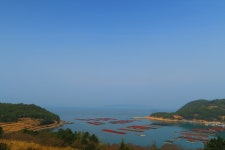 부산테마여행사
