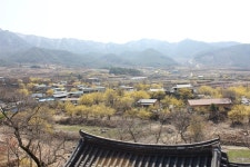 부산테마여행사