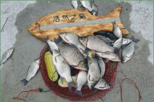 (주)화신 봉동조우회 2109년 시조회 :: 토종붕어를 사랑하는 사람들