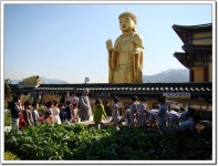 주렁주렁 달린 고구마, 땅콩 캤어요.(참좋은 유치원 원아들의 하늘법당 현장학습 체험) > 한국불교대학소식 | 한국불교대학大관음사