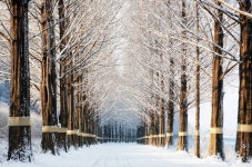 맛집 정보 검색 NO.1 사이트, 메뉴판닷컴 :: 맛집 정보가 가득
