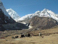 동계 라운드 마나슬루 트레킹34(삼도- 다람살라)