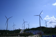 2009년8월 마지막..영덕 > 근교여행