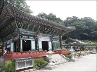 양평 가볼만한 곳 용문사