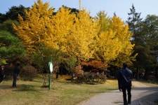 부산테마여행사