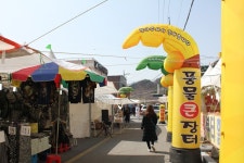 부산테마여행사