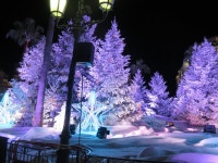 여행후기 참좋은여행