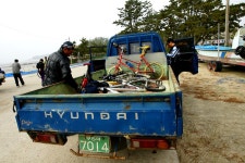마실길 솔찬히 거시기허네[채석강-곰소-변산마실길-해안문화마실길-만돌-바람공원-동호해수욕장] - Dr. Sparks Columns