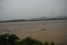 금산군 보기 > 자유게시판 > 열린게시판 > 소통참여 > 대표 대표