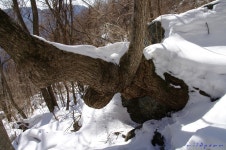 산행기 - 가평 명지산(1,267m) / 경기의 제2봉..