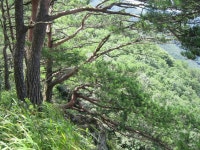 제35회 경북 문경 도장산과 쌍룡계곡 산행 - 산행일정 및 신청방 - 평택 산누리 산악회 평택 산누리 산악회