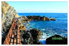 대상 38 동기회 | (강릉여행) - 정동심곡 바다부채길 - Daum 카페 (강릉여행) - 정동심곡 바다부채길