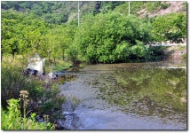 (사곡지)바람따라 구름따라 586회 :: 토종붕어를 사랑하는 사람들