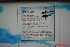 (목동맛집)매콤한 코다리 조림 맛집 - 목동 지역 추천맛집 진짜배기 명태촌 후기