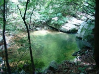 산행기 - 2009.07.04. 유명산 산행기