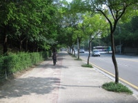 090815 상보안 배스루어 조행기 - 물고기 갤러리