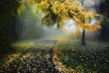 ◐특이한 길(道 路 )◑ - ♠예술의 광장♠ (여행,음악,사진,미술,취미) - 한중 한주회 ◐특이한 길(道 路 )◑