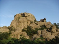 유달산아 말해다오... - 도시 갤러리