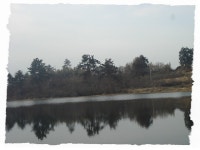 초봄 붕순이 만나러^^* 초봄 붕순이 만나러^^*