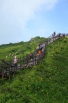 산행기 - ●   2010년 7월  27일 덕유산 / 무룡산 &lt;사진&gt;