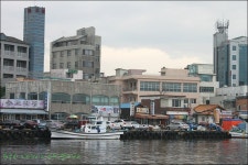 맛집 정보 검색 NO.1 사이트, 메뉴판닷컴 :: 맛집 정보가 가득