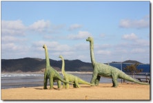 나만의 아지트로 숨겨두고 싶은 곳 <신두리>