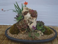 지혜의 열쇠 (모셔온 글)