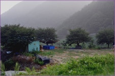 (지촌지)바람따라 구름따라 679회 :: 토종붕어를 사랑하는 사람들