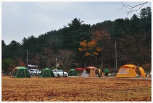 캠핑파워 | 2014년 가을 전야제 캠핑...참마당 오토캠핑장에서...^^* - Daum 카페 2014년 가을 전야제 캠핑...참마당 오토캠핑장에서...^^*