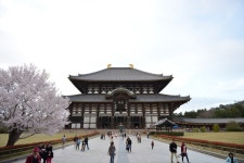 극스압2014년도여행기 오사카와 주변소도시 여행