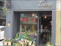 티아라 플라워레슨 시원한 화병꽂이 원데이클래스