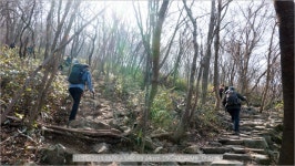 여행기 - 무등산의 봄과 겨울~