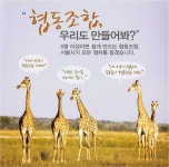 [알라딘서재]협동조합, 서울에 부는 산들바람 함께 맞으실래요?^^ 협동조합, 서울에 부는 산들바람 함께 맞으실래요?^^